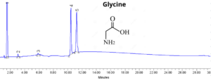 glycine
