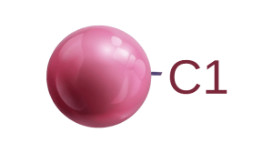 Zodiac C1