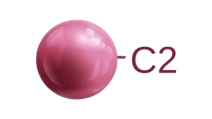 Zodiac C2
