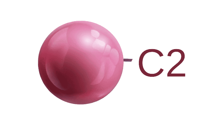 C2