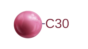 Zodiac C30