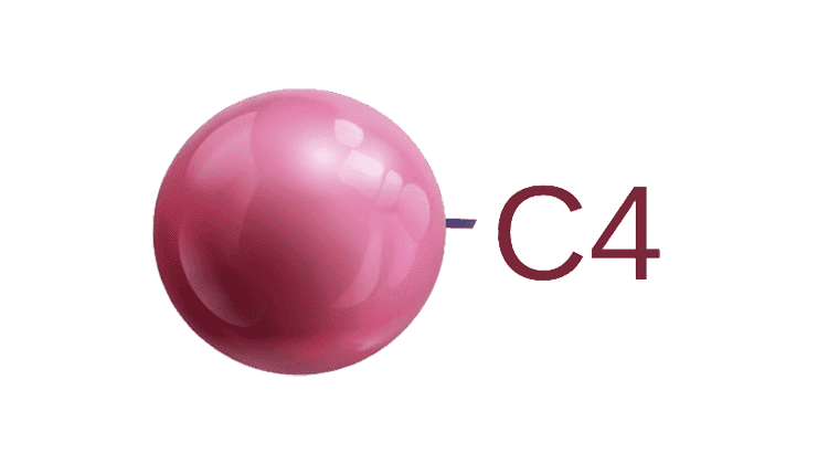 C4