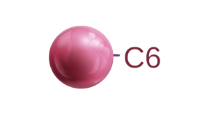 Zodiac C6