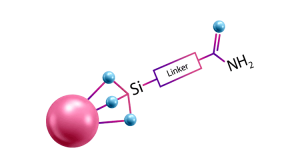 Zodiac RP Amide