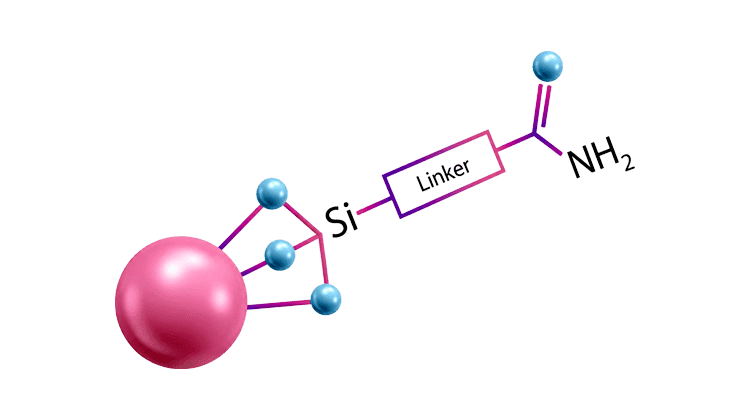 RPAmide