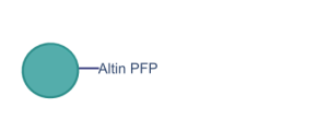 Altin PFP