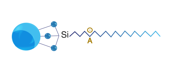 Zodiac_HST_A