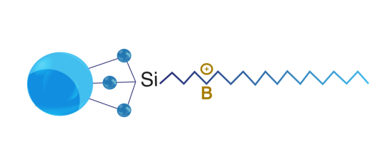 Zodiac_HST_SB
